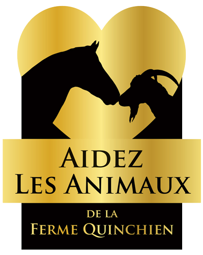 Help ferme quinchien animal
